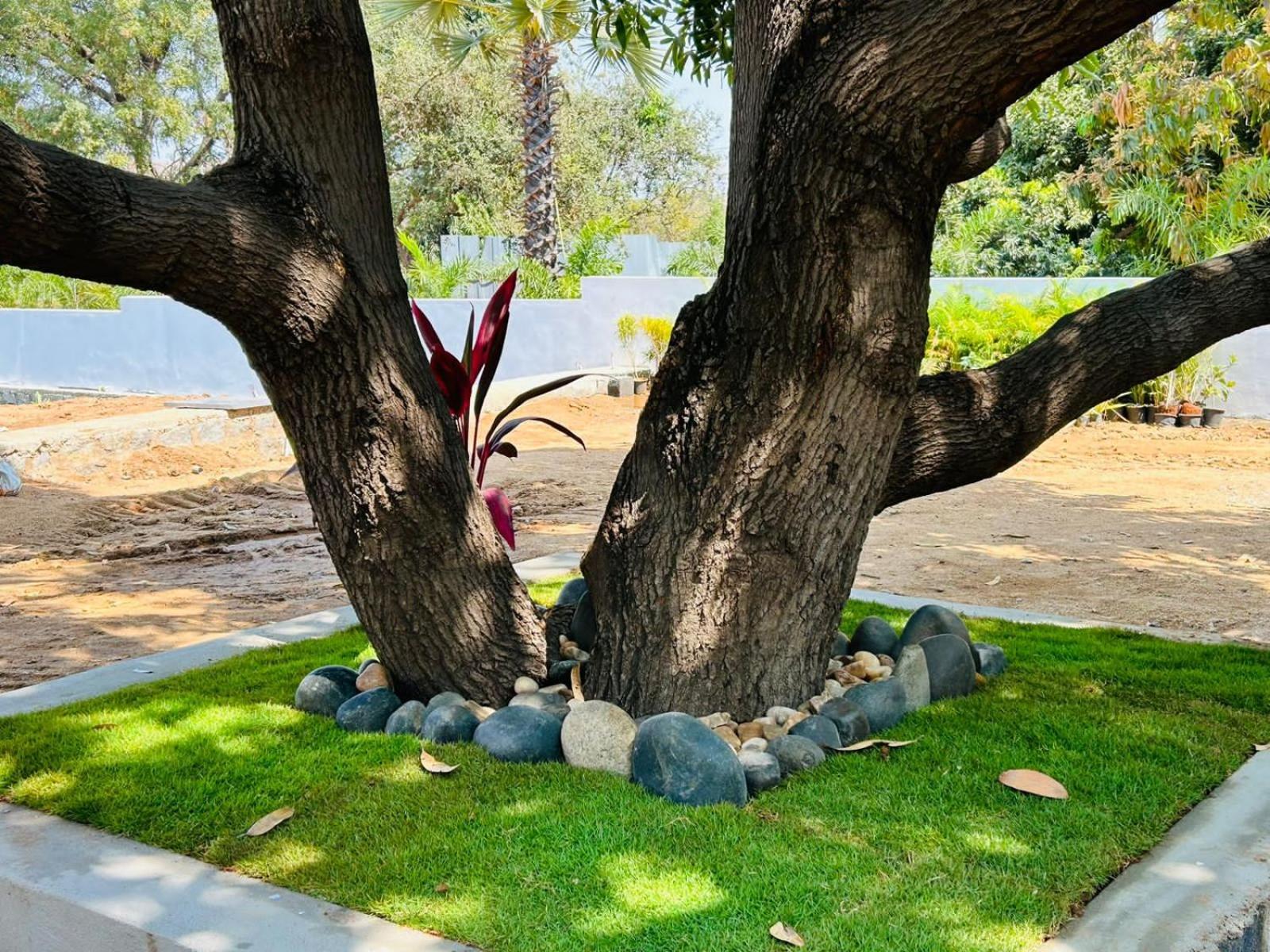 Hampi Village Resort & Tutti Cafe Zewnętrze zdjęcie