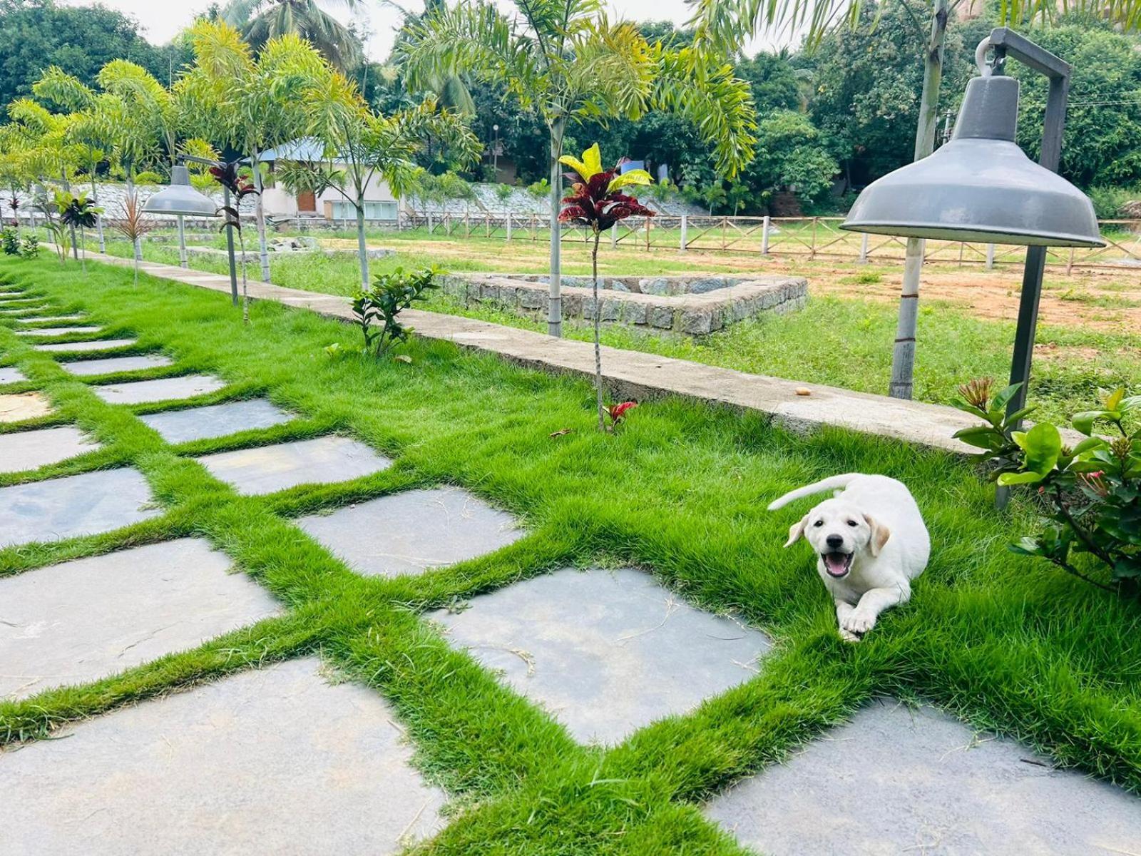 Hampi Village Resort & Tutti Cafe Zewnętrze zdjęcie