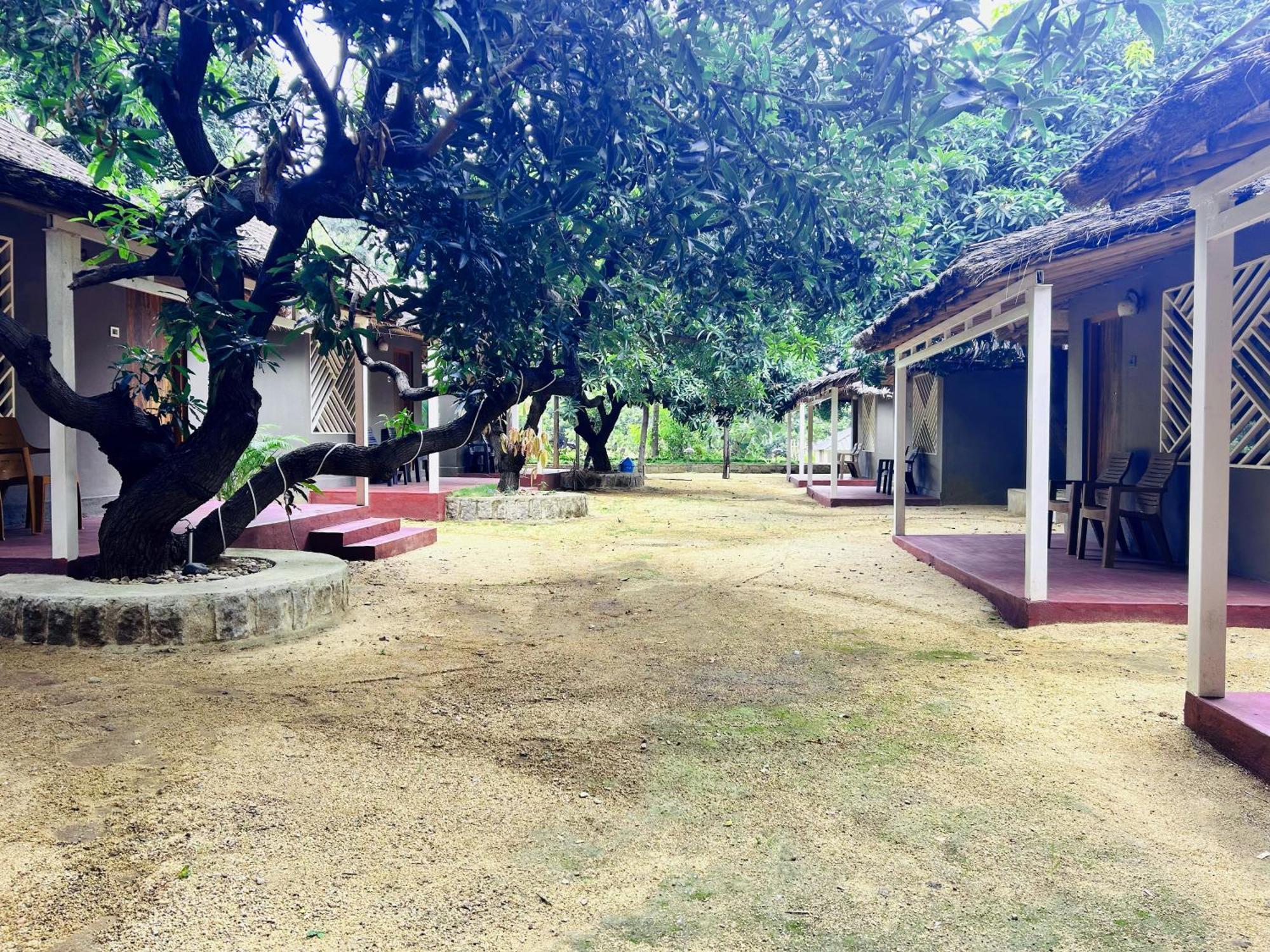 Hampi Village Resort & Tutti Cafe Zewnętrze zdjęcie